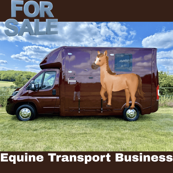 promo thumbnail picture 2025 09 23T122712.071